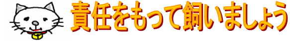 猫を責任を持って飼いましょう