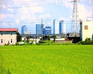 名古屋駅高層ビル群を背景にした田園風景