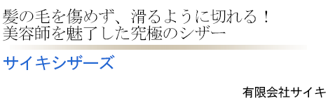 有限会社サイキ