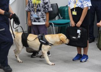 麻薬探知犬の写真